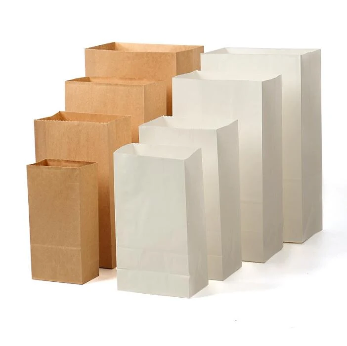 Title 5, 100 sacs en papier Kraft pour réfrigérateur Gar...