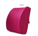 Mesh