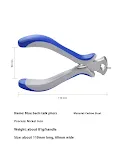 Blue Back Mouth