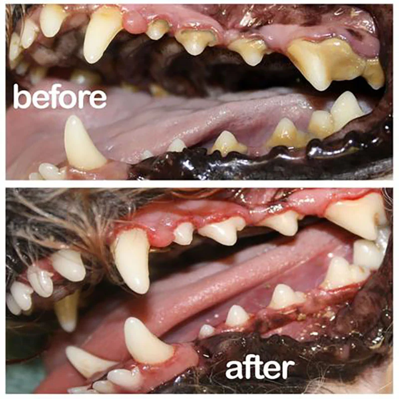 Title 2, Pet Deodorant Tooth Cleaning Spray for fresh br...