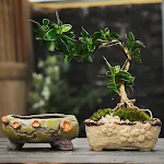 miniatures image - 5