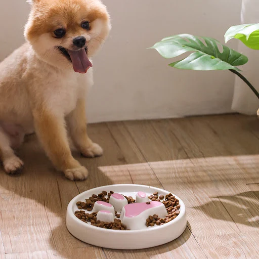 Title 3, Ceramic slow feed bowl for dogs and cats. Encou...