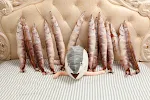 Bonecos de pelúcia de jogos de animação Coleção de bonecos interativos para brincar e colecionar. Diversão garantida para crianças e fãs. — foto 4