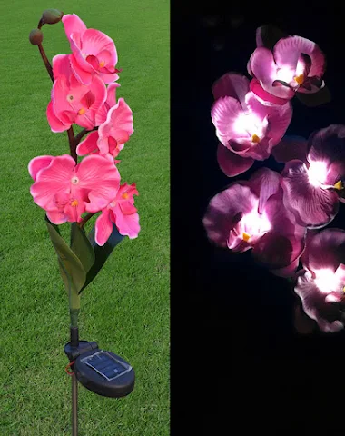 Image product - 3