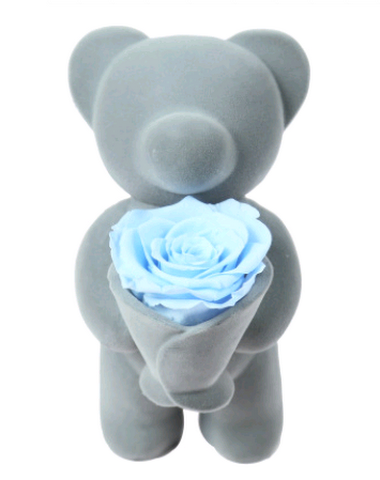 Image product - 2