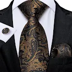 Men's Tie Luxury Black and Gold Striped Silk Woven. Elevate your style with this sophisticated tie, perfect for business — photo 21