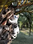 Enfeites de Gatinhos de Simulação Fofos para Decoração de Sala, Quarto e Jardim. Decore seu lar com charme felino. — foto 1