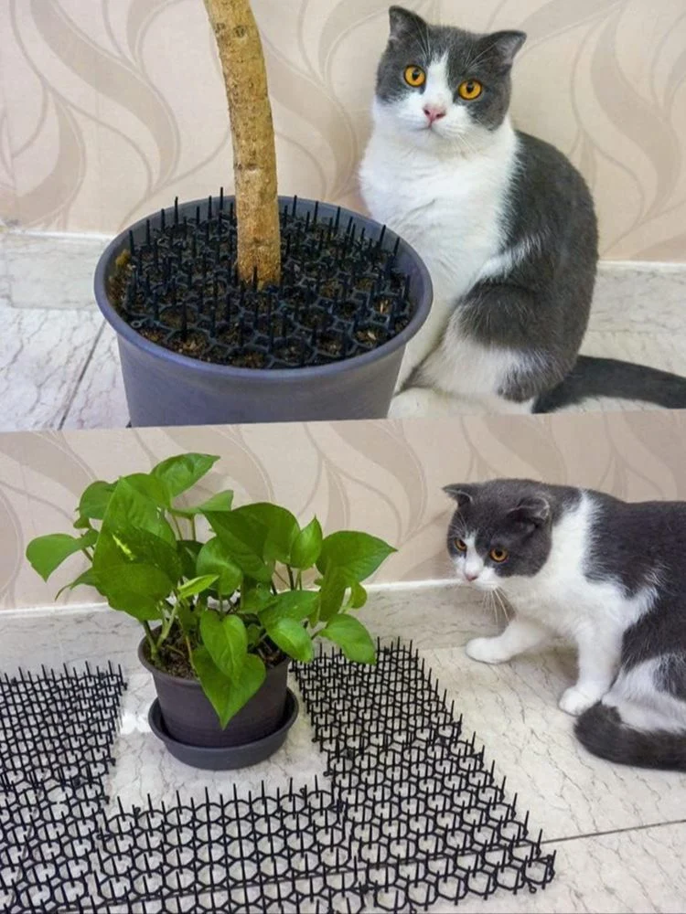 Title 2, Cat Foot Pad Garden Repellent Cat and Dog Anti-...