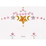 FG301