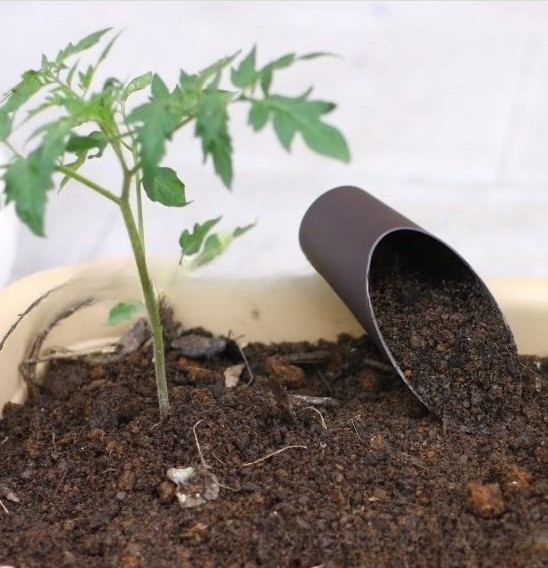 product image - 11