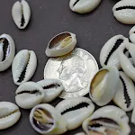 miniatures image - 8