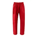 TKD Red Pants
