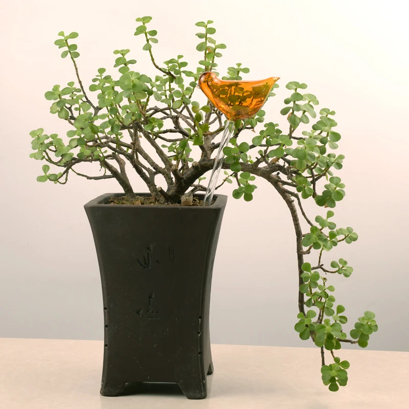 Automatische vogelwatergever Transparante glazen pastorale decoraties Eenvoudig planten water geven en een landelijke uitstraling voor tuin en huis. — foto 12