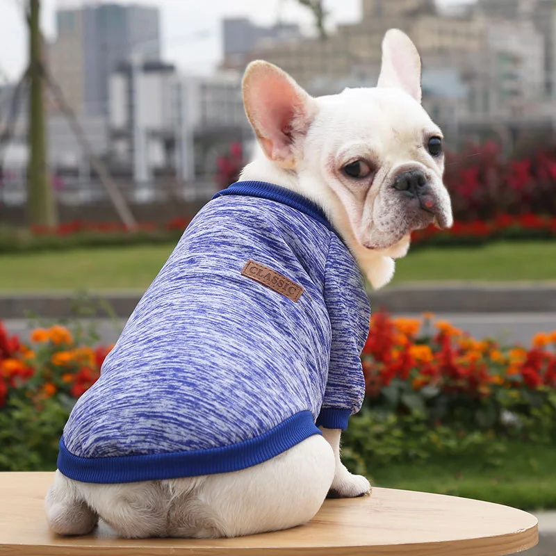 Title 2, Fall Winter New Style Sweater Two-legged Clothe...