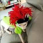 Pet Hood Cat Dog Knitted Hat Prop Headdress Funny Costume Accessory Perfect for Photoshoots and keeping your pet warm an — photo 2