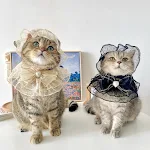 miniatures image - 0