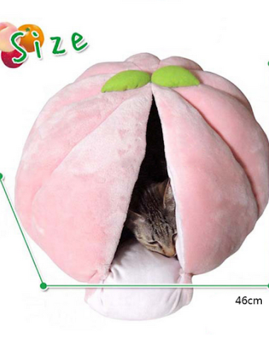Image product - 0