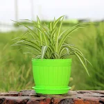 miniatures image - 2