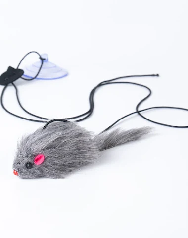 Image product - 0
