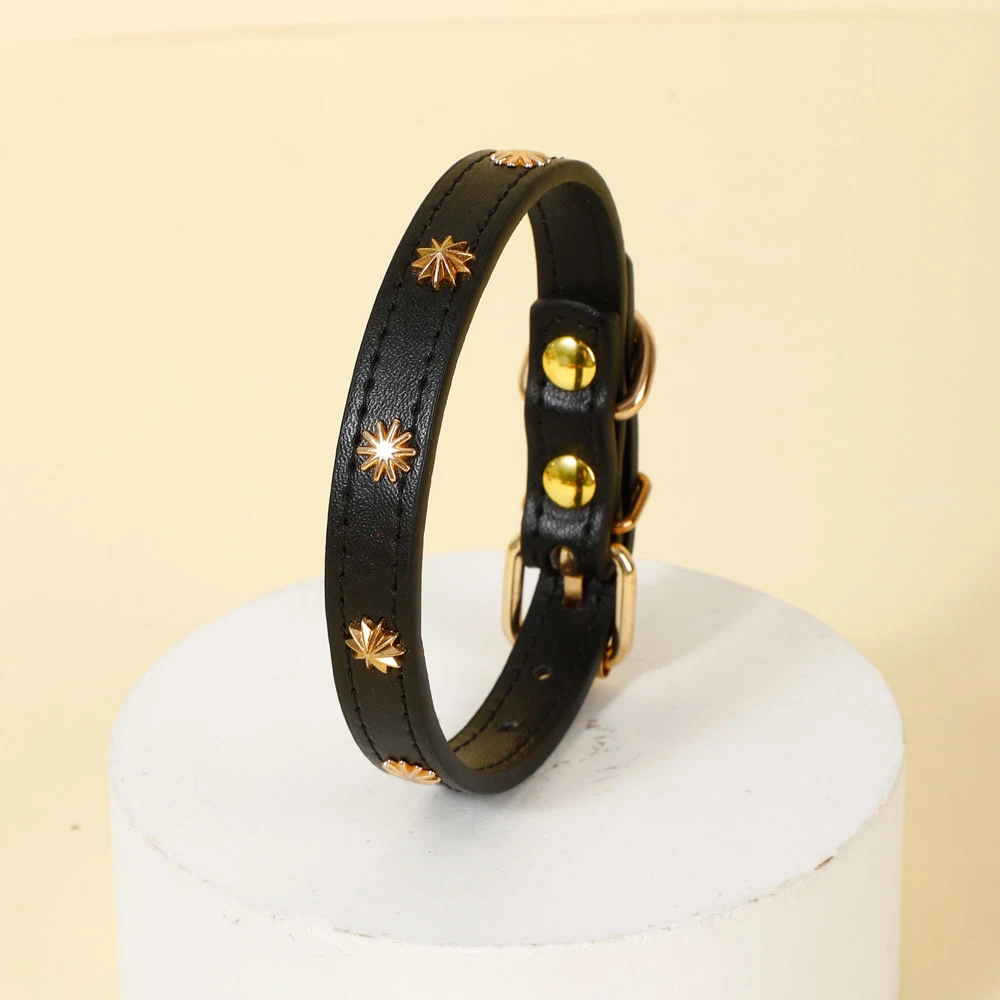 Title 8, Designers Leather Cat Collar Gold Rivet Kitten ...