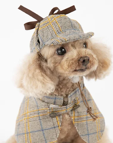 Image product - 3