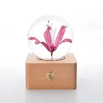 Equinox Flower