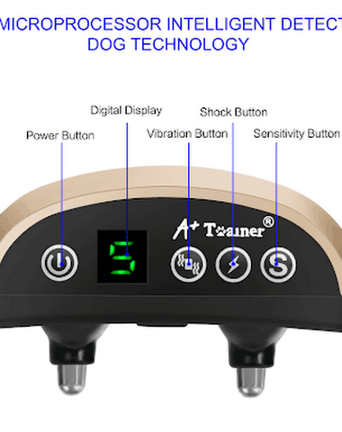 Image product - 3