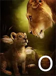 O