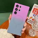 Purple Gray