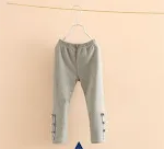 Grey spring and autumn models