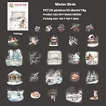 Winter Birds