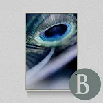 B