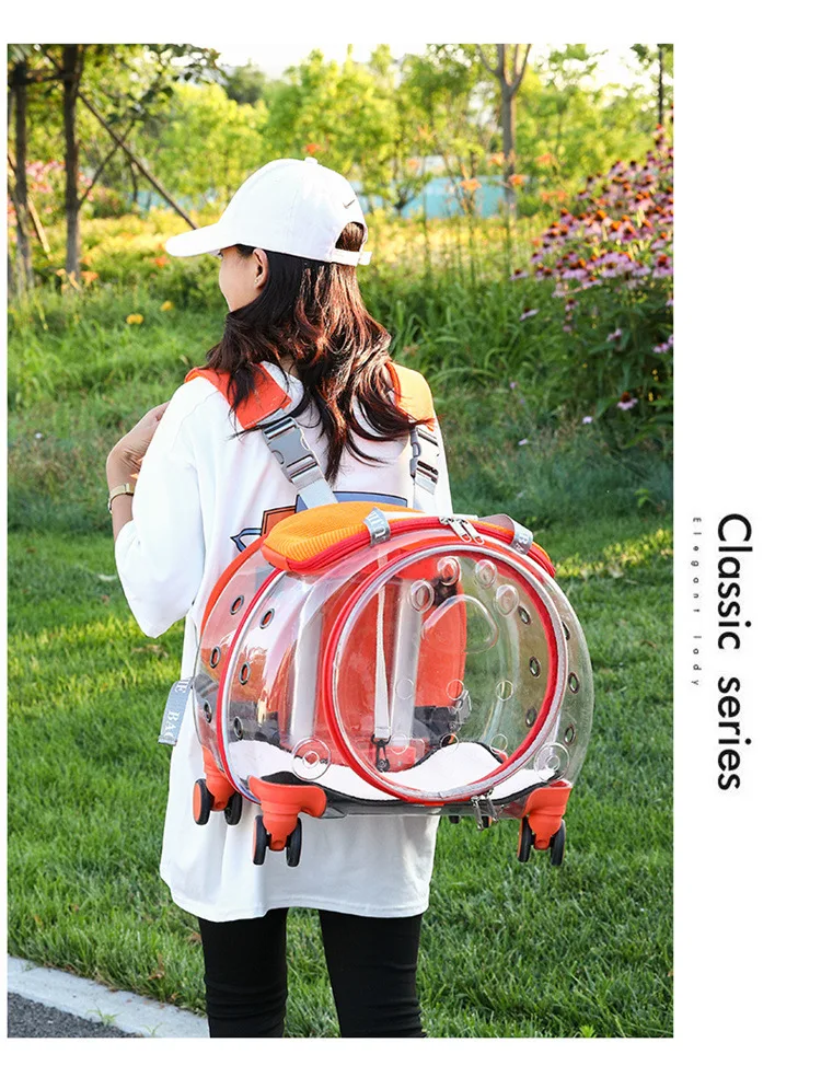 Title 28, Small Handbag Cats Carriers Transportin Outdoor...