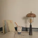 220V US